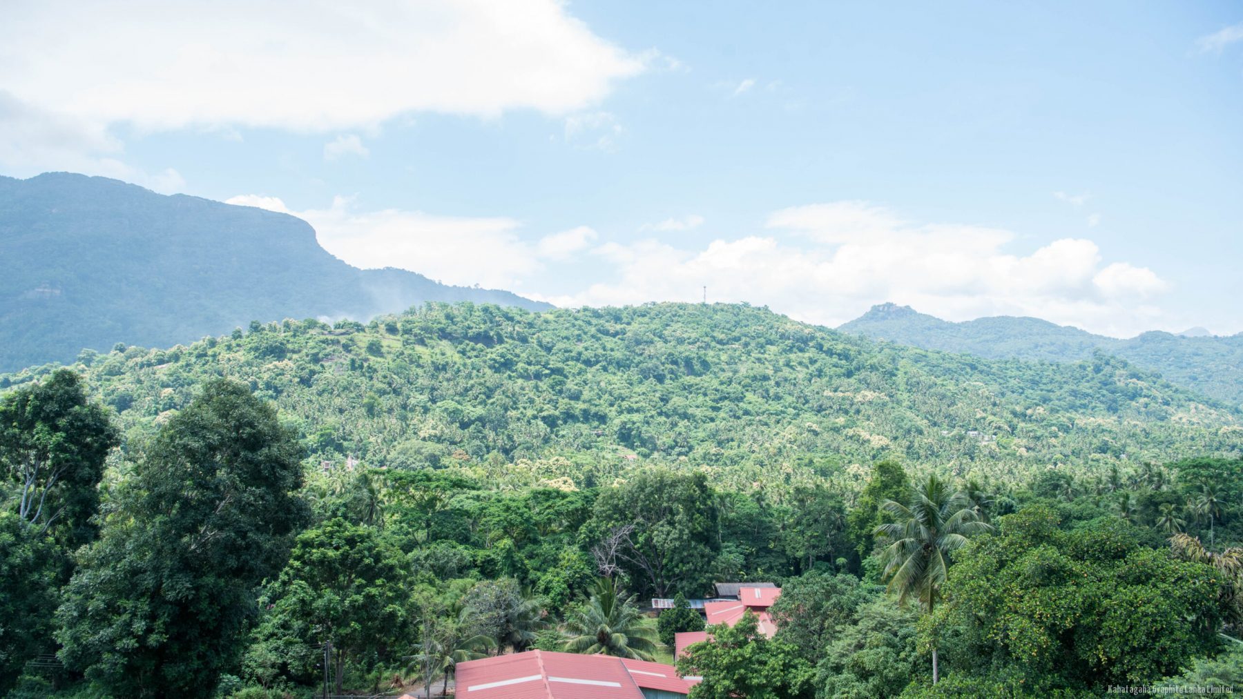 The forested Kurunegala hills around the Kahatagaha mine site.