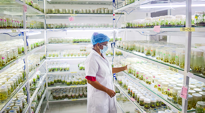 Ranmal Flora production facility